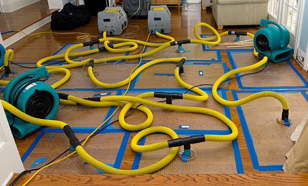 Professional Basement Flood Cleanup technician working in Whiteville, NC